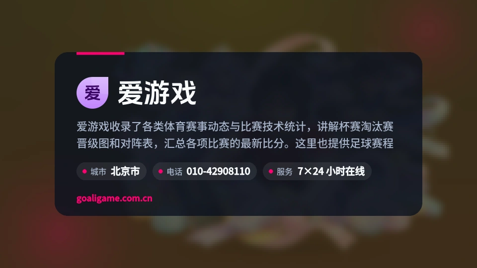 爱游戏简介